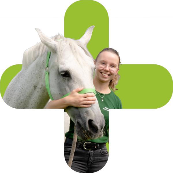 Tierärztin mit Pferd