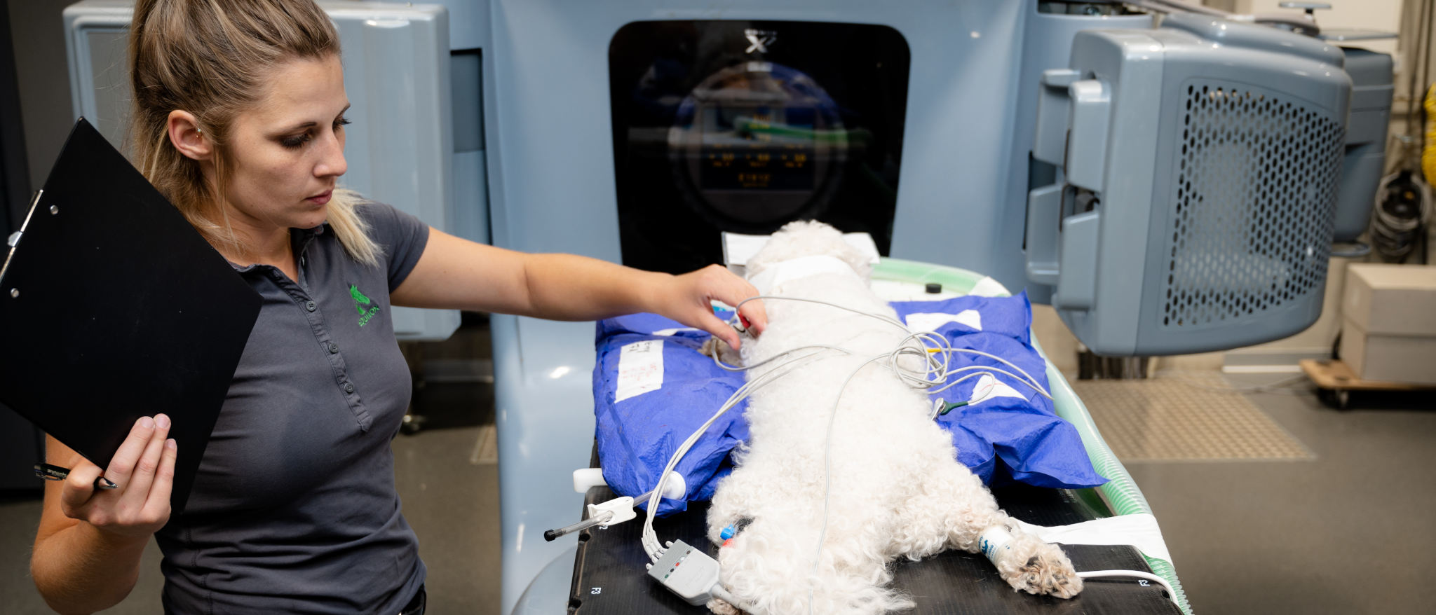 TFA überwacht einen Hund in Narkose bei der Strahlentherapie